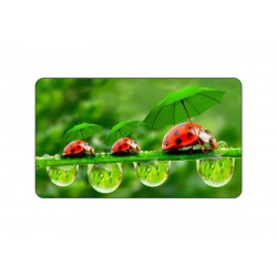 LadyBird Family Mousemat...