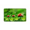 LadyBird Family Mousemat (MOUSE PAD)