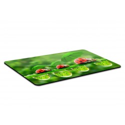 LadyBird Family Mousemat (MOUSE PAD)