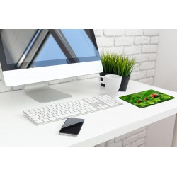 LadyBird Family Mousemat (MOUSE PAD)