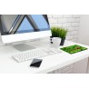 LadyBird Family Mousemat (MOUSE PAD)