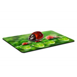 LadyBird Family Mousemat (MOUSE PAD)
